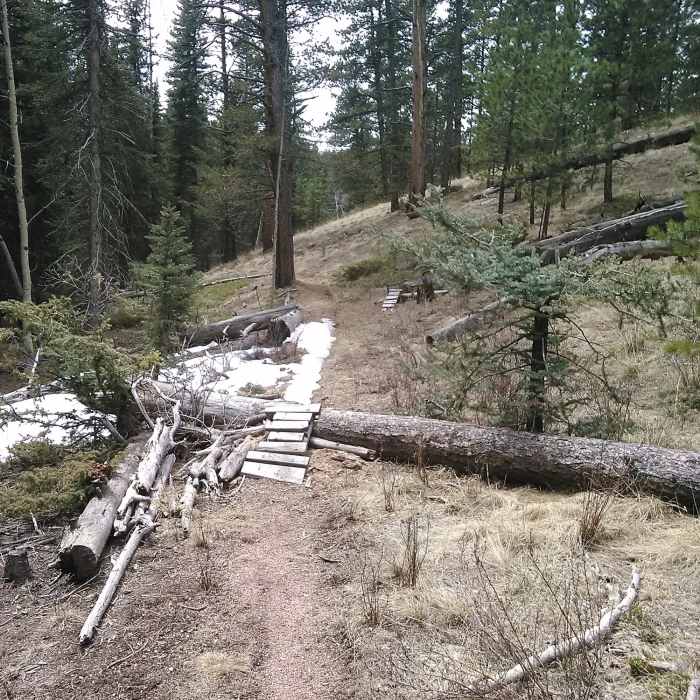 Near White Gulch Trail