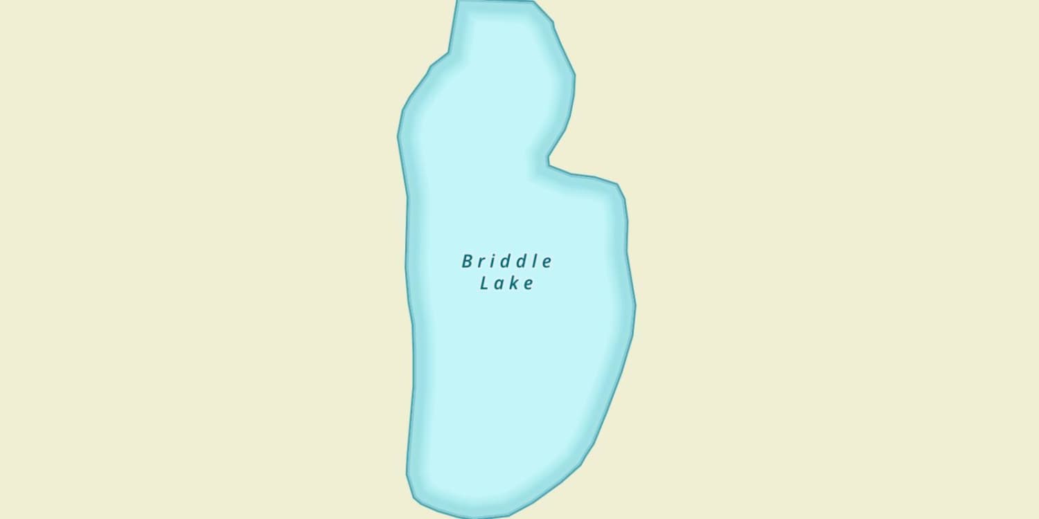 Briddle Lake