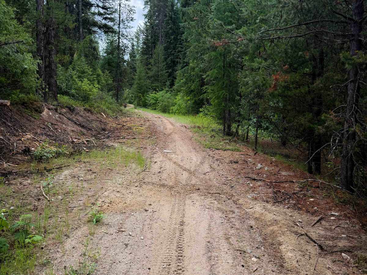 Tacoma Divide  photo 6