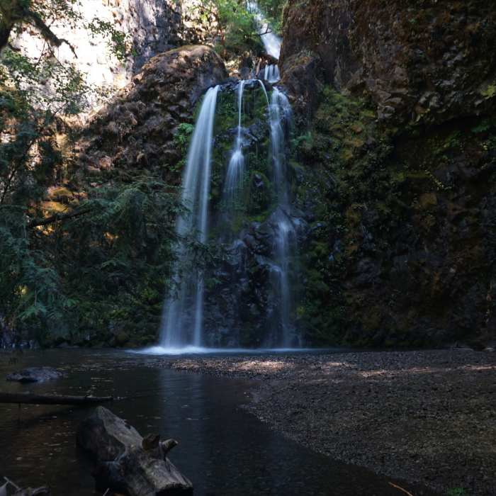 Near Fall Creek Falls Trail