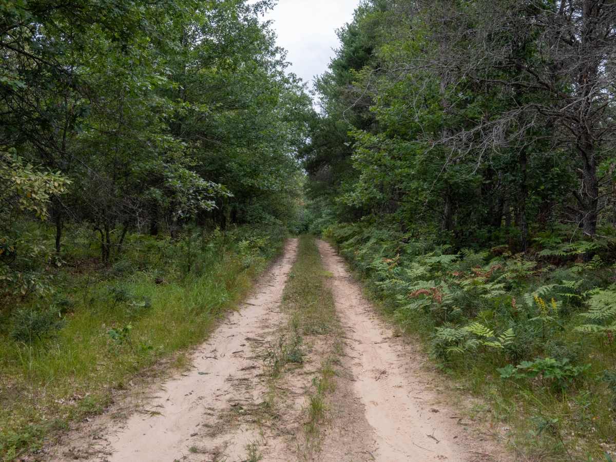 FS 4030 trail photo