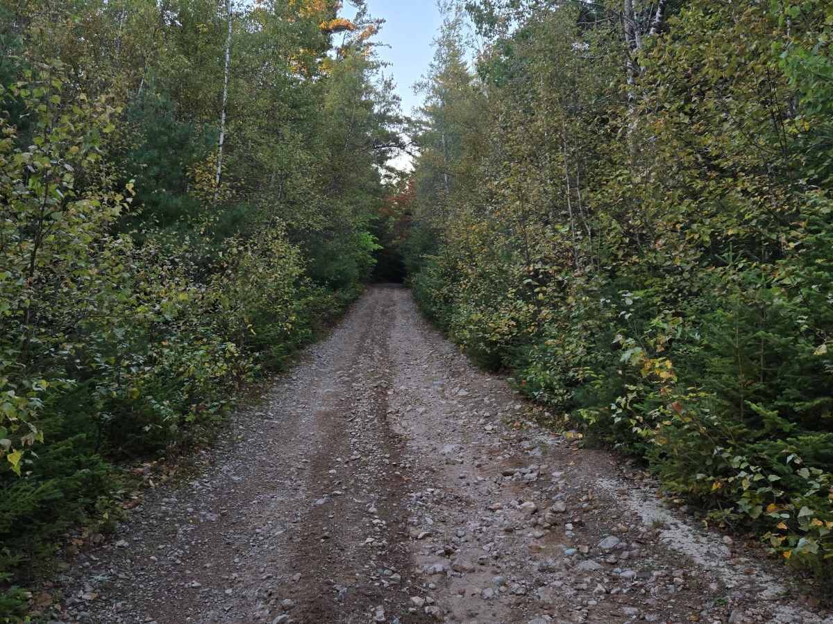 Flint Hill Road photo 3