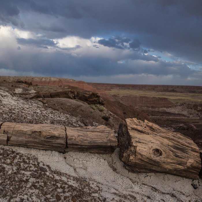 Near Painted Desert Near Painted Desert