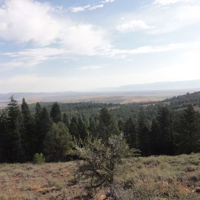Near Oregon Desert Trail (Seg. 8): Abert S to Colvin Timber
