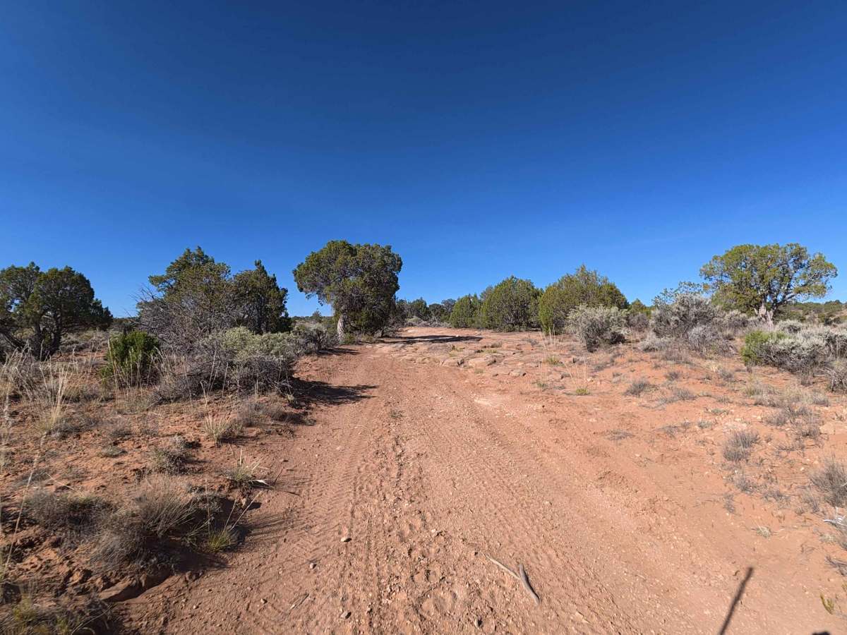 Ben Lowe Road - BLM 860 photo 6