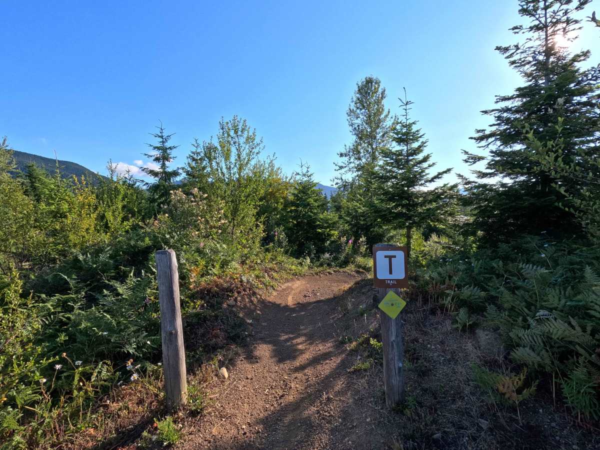 East Phantom Bear photo 2
