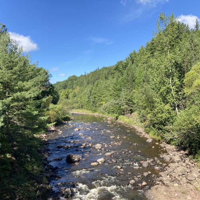 Near Doughboy's Nature Trail