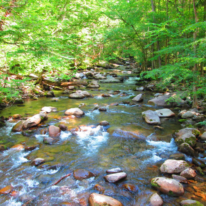 Near Old Settlers Trail