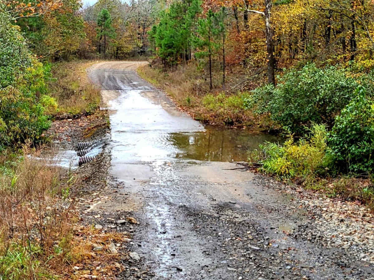 Cedar Creek Trail photo 6