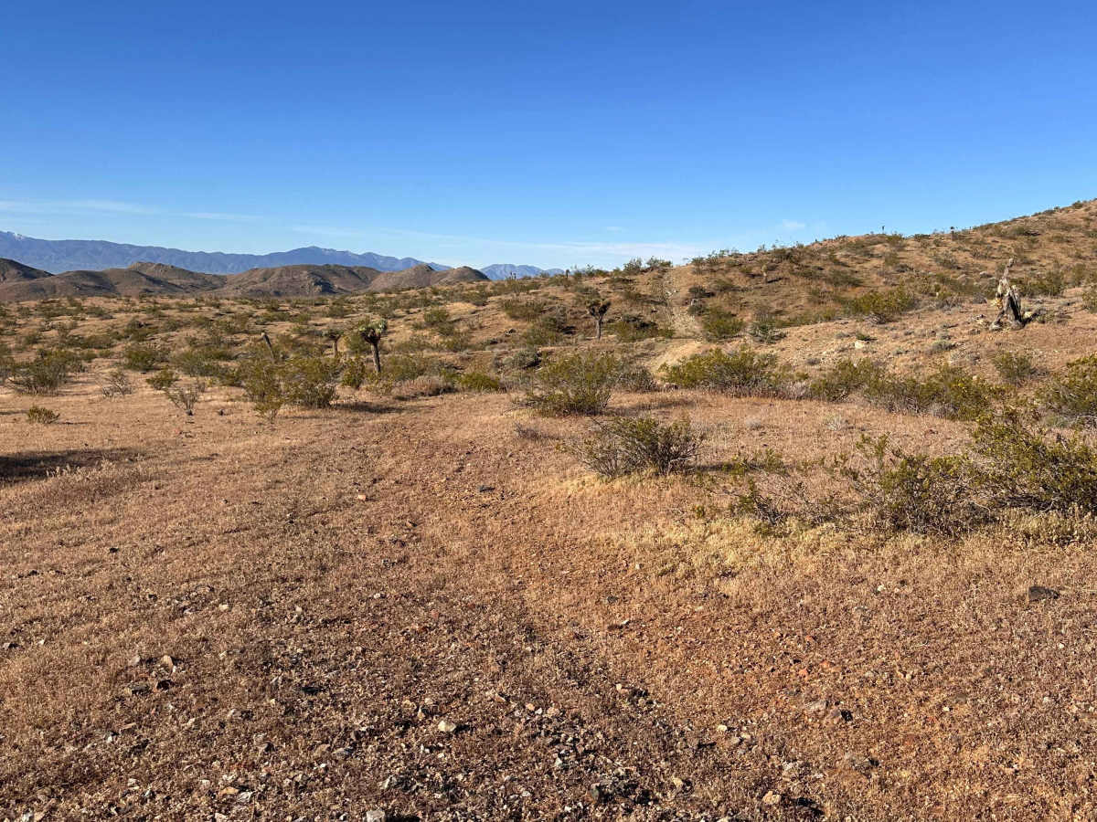 Dust Devil Trail photo 3
