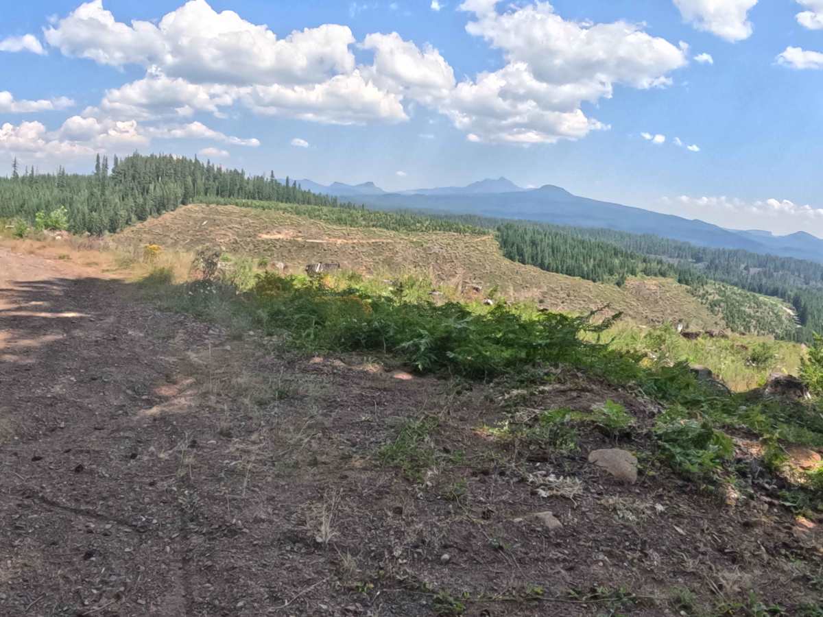 FS 2067527 trail photo