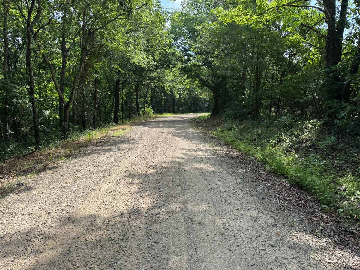 County Road 3880 photo 5