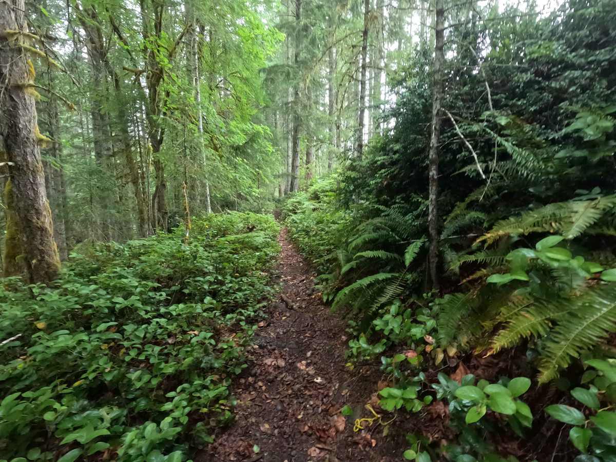 Twin Lakes Trail photo 3