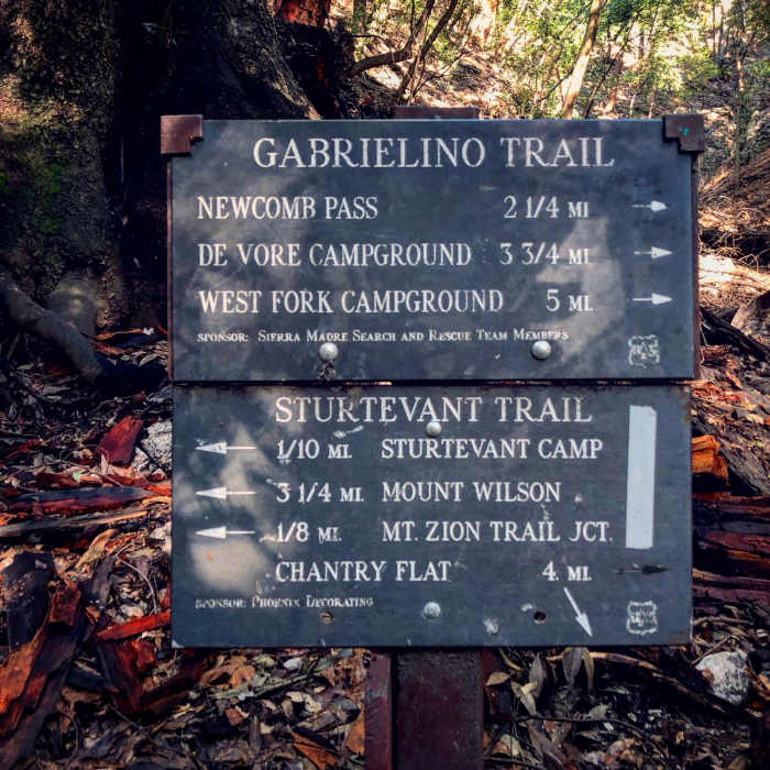 Near Sturtevant Trail #11W16