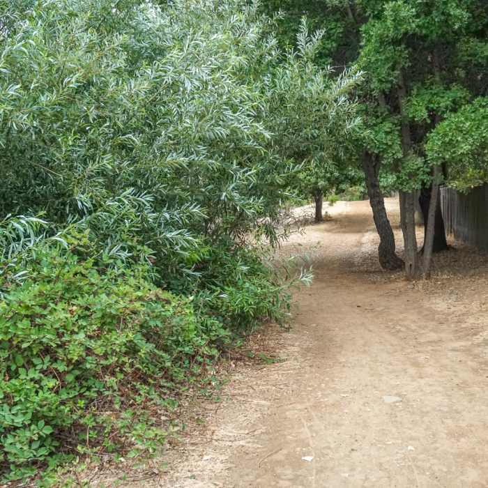 Near New York Creek Nature Trail