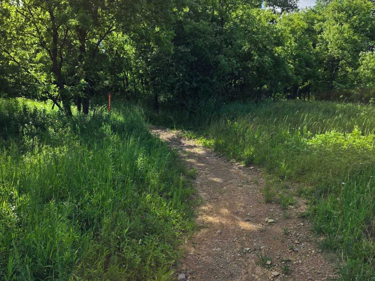 Single Track A photo 3