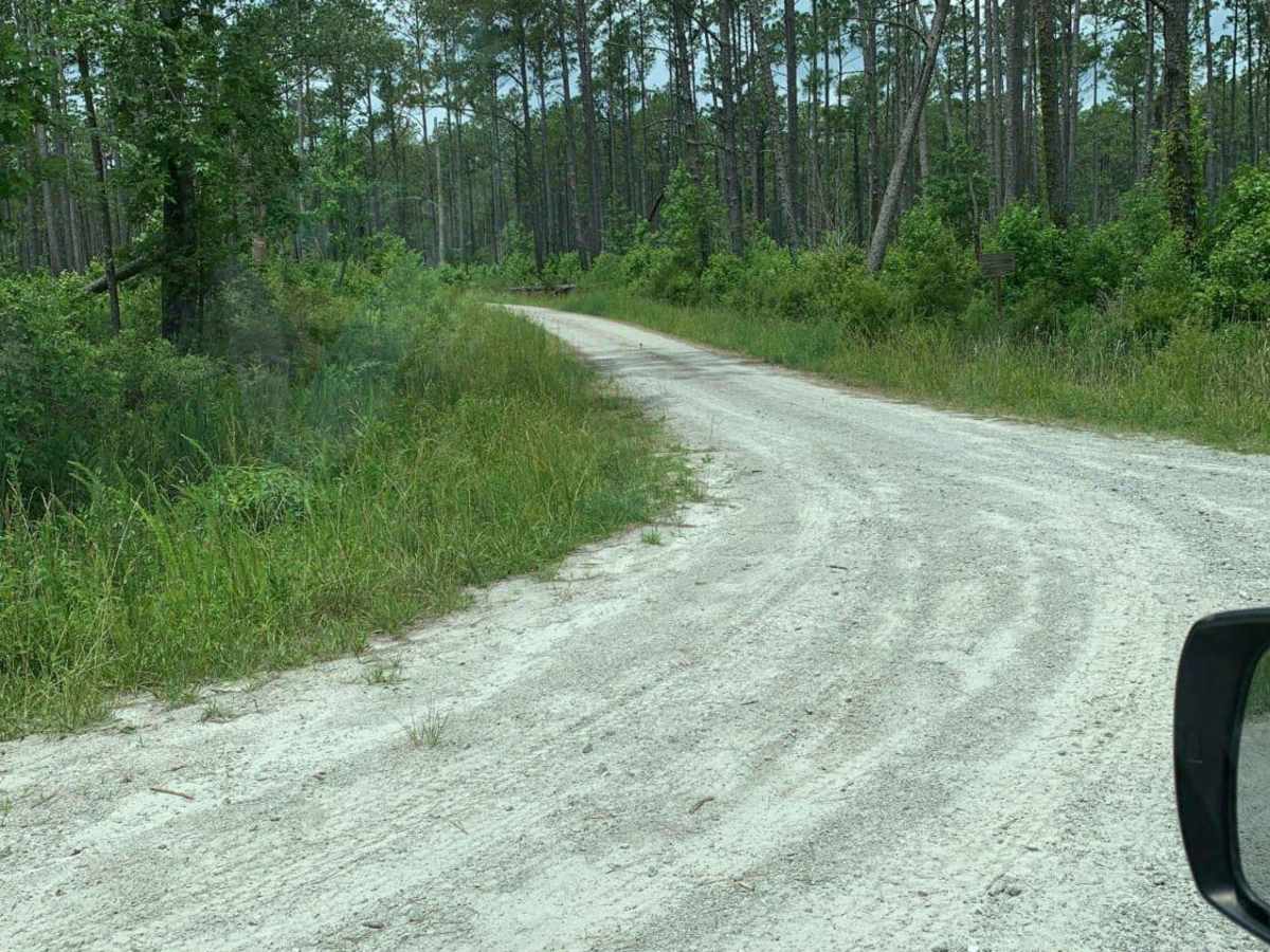 Holston Hunter Trail photo 5