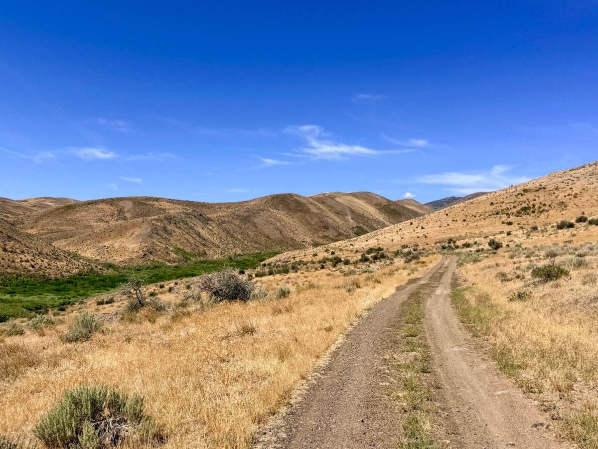  Gance Creek - FS 56869 trail photo