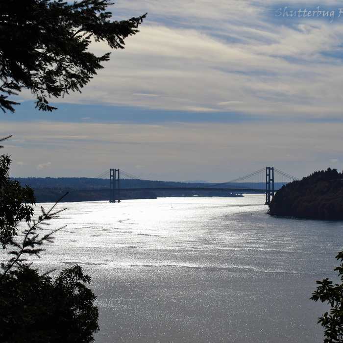 Tacoma Narrows Bridge Near Outside Loop Trail (Blue Loop)
