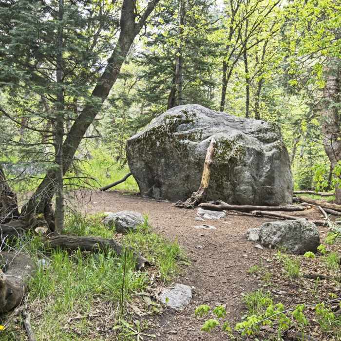 Near Horsetail Falls