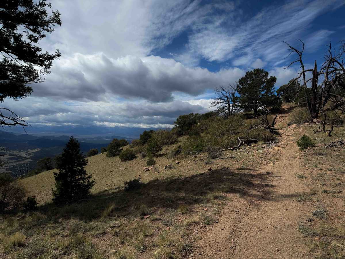 FS 1333A trail photo