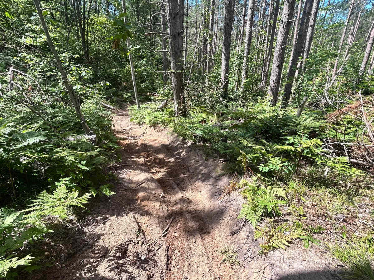 Big Bear Connector  photo 3