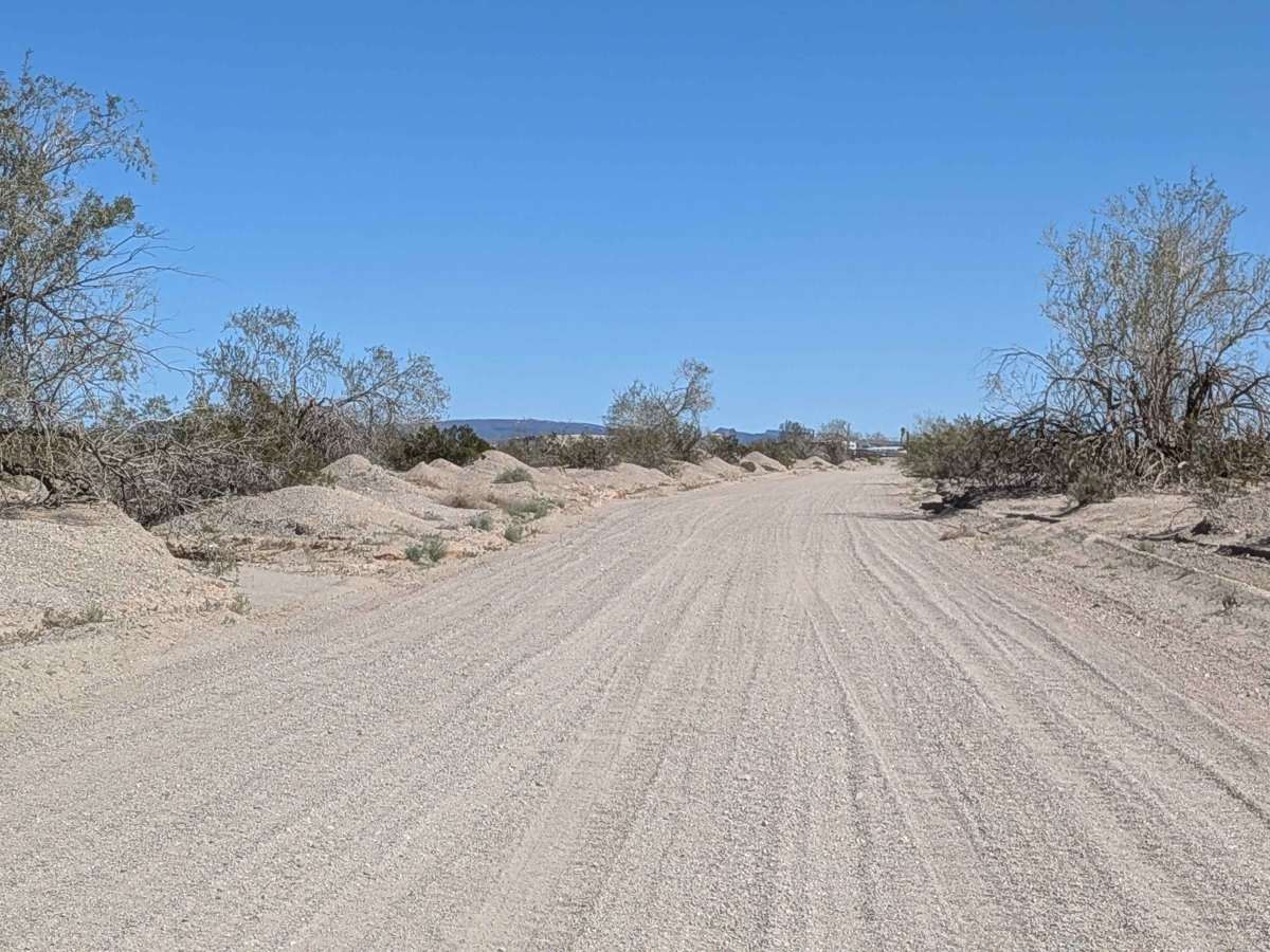 BLM 762 photo 6
