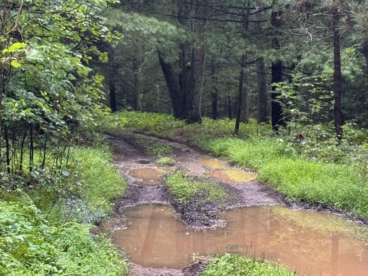 Sand Spring Road photo 6