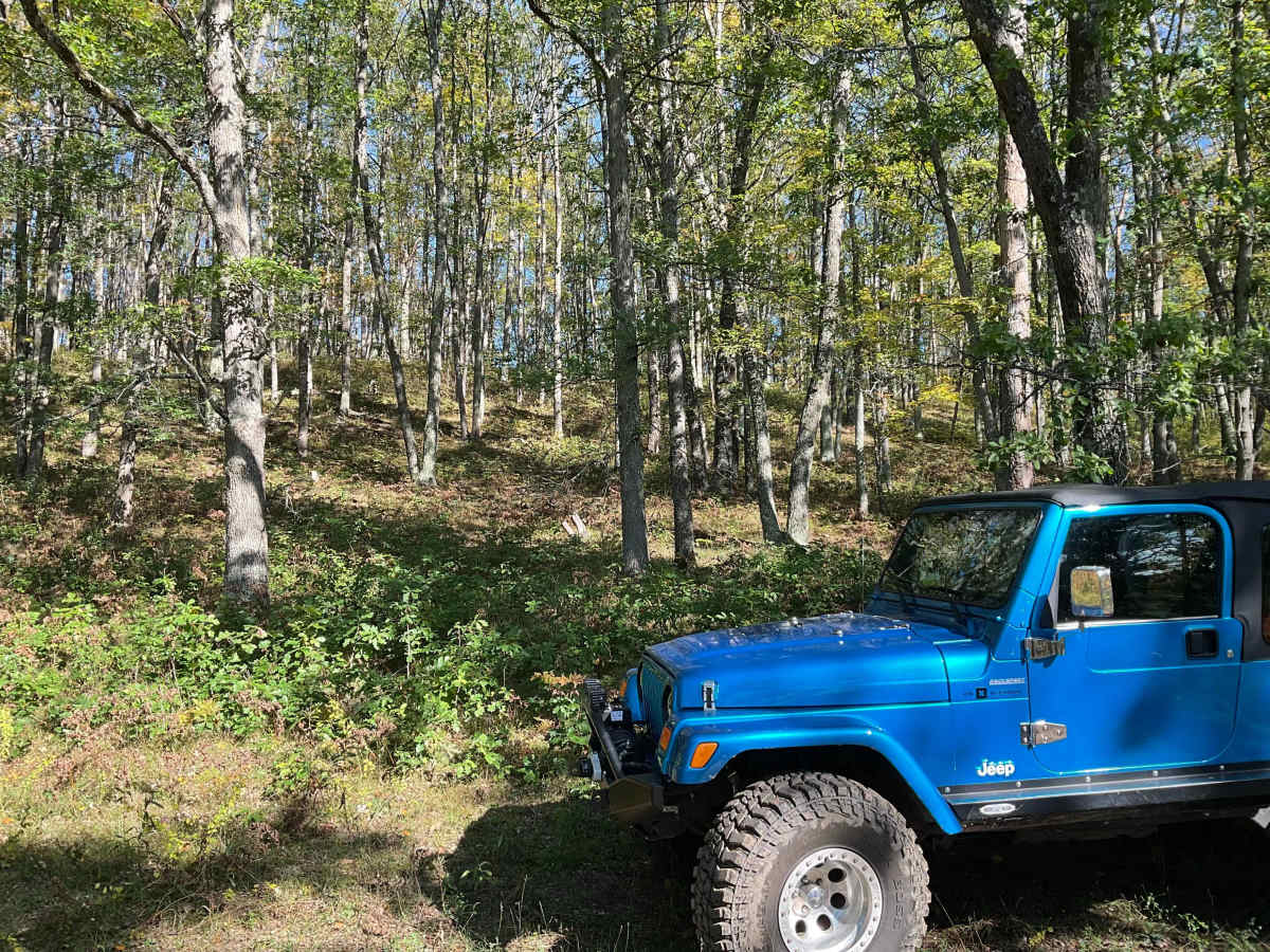 Pine River Corridor trail photo
