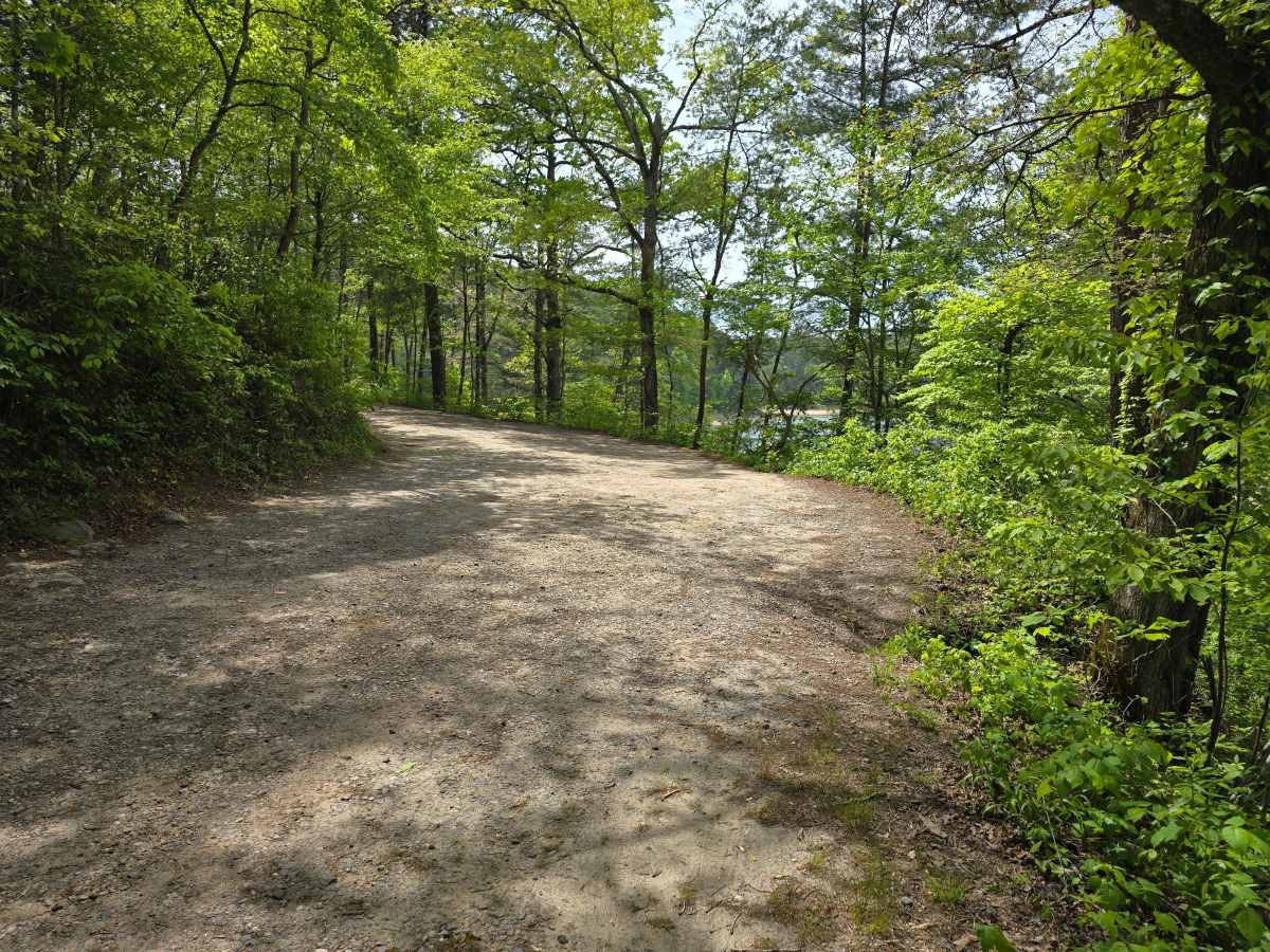 Little Dam Road photo 5