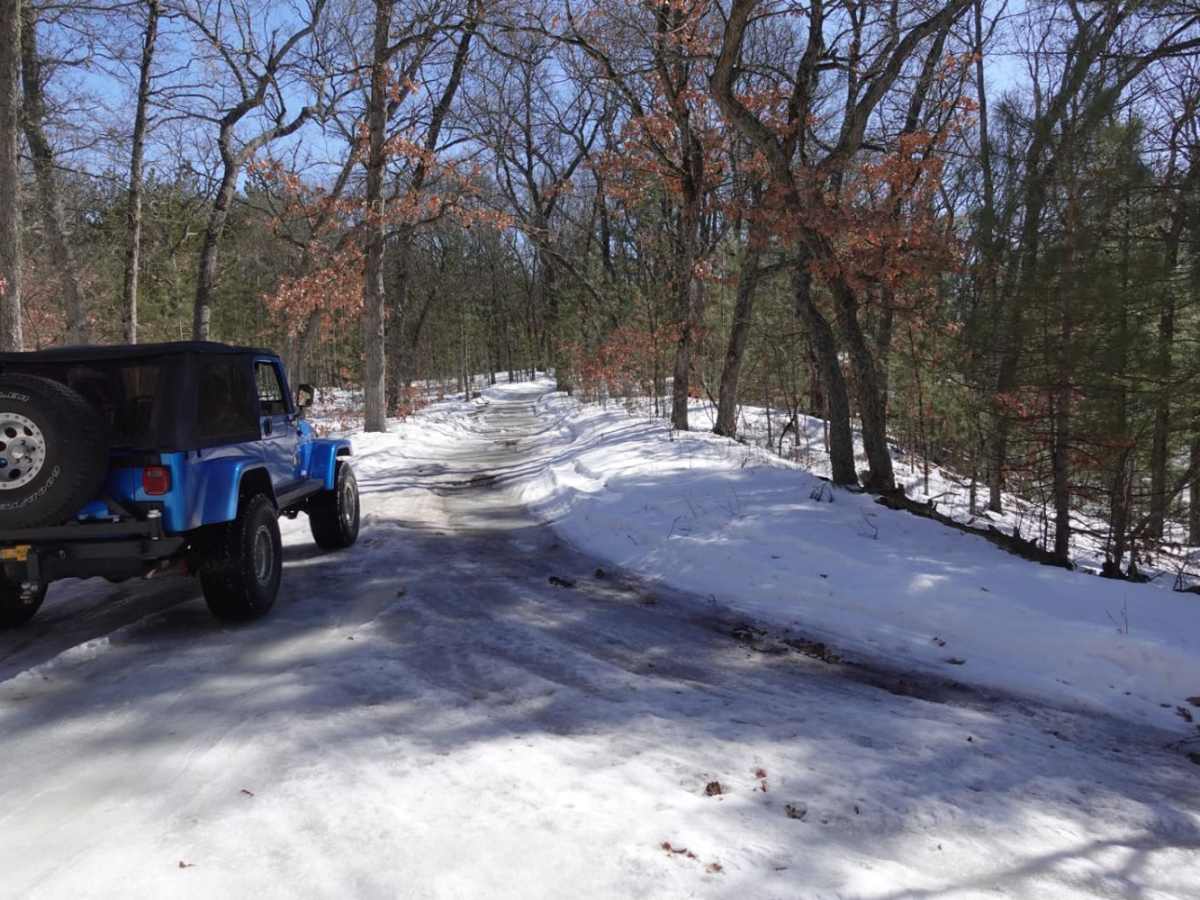 Forest Road 9219 photo 2