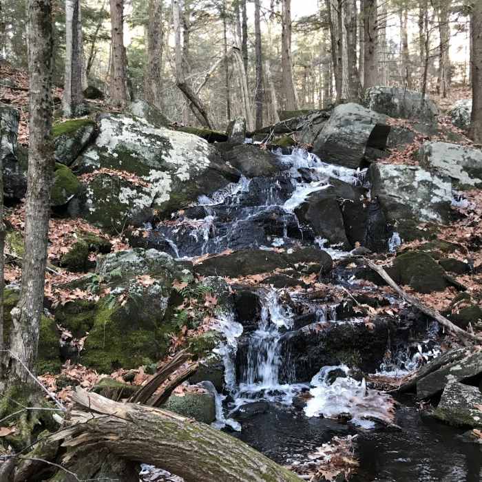 Near Beaver Brook Trail
