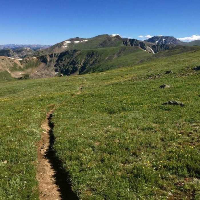 Near High Lonesome Trail