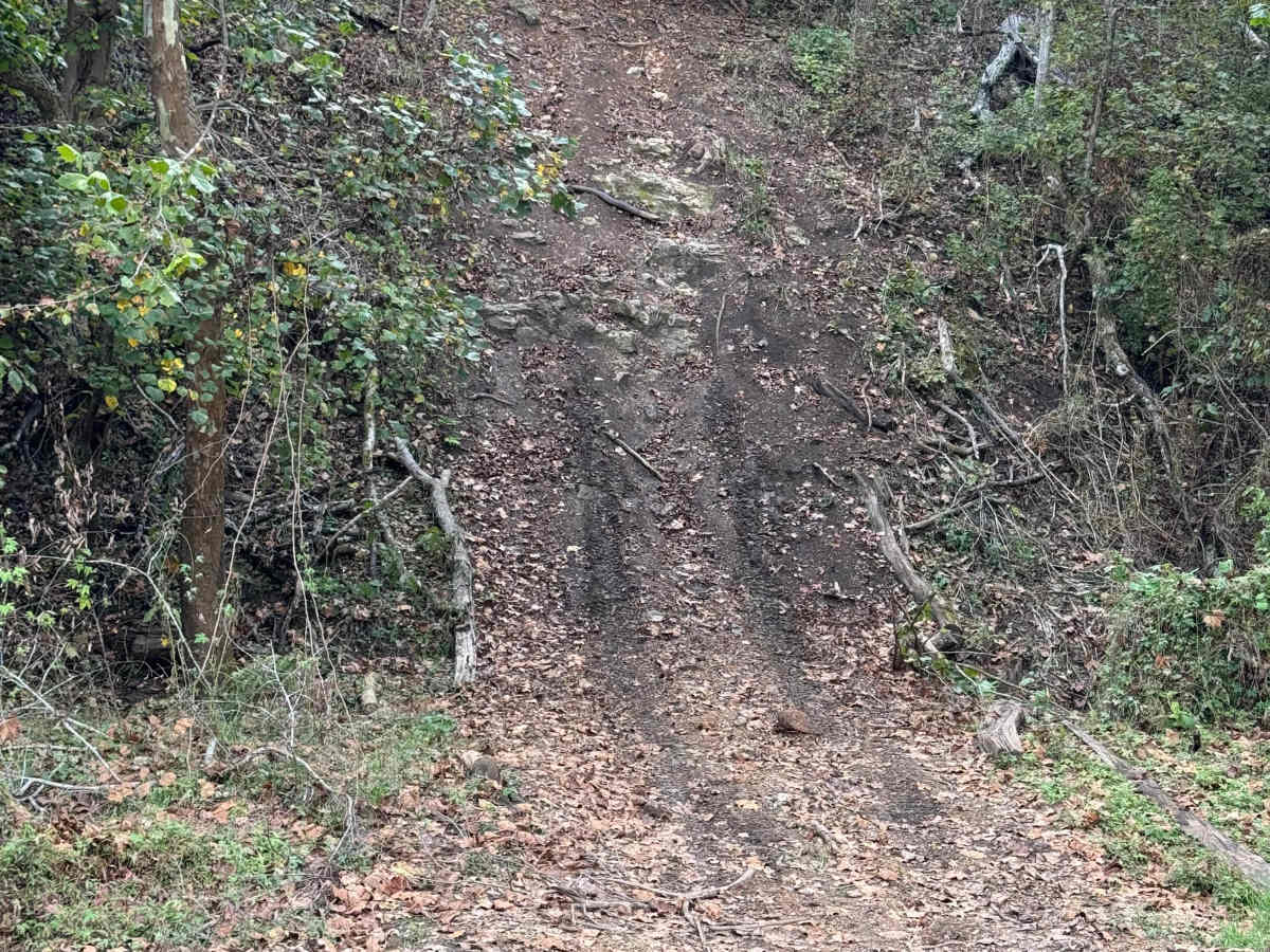 Skydive trail photo
