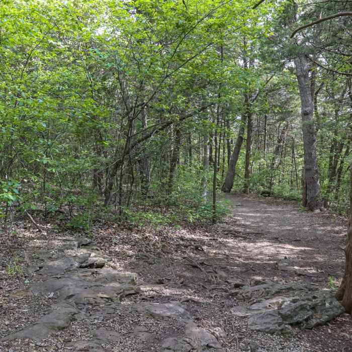 Near Streamside Trail