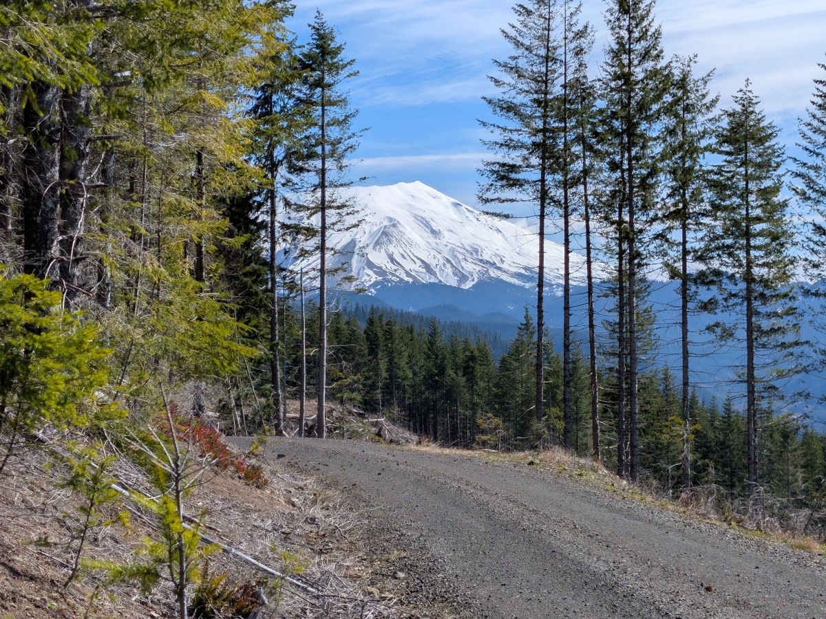 5631 trail photo