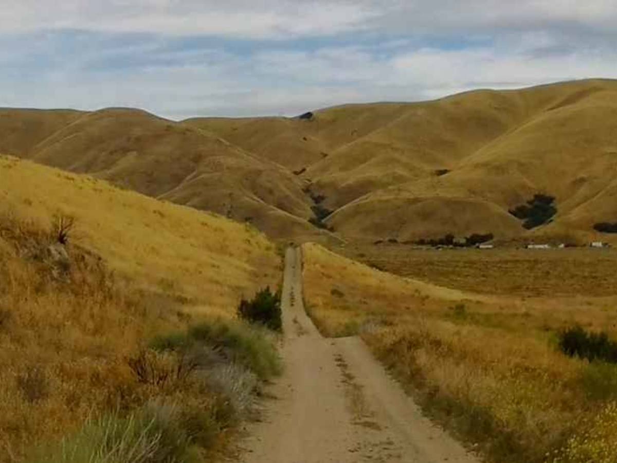 Wheatfield Trail photo 5