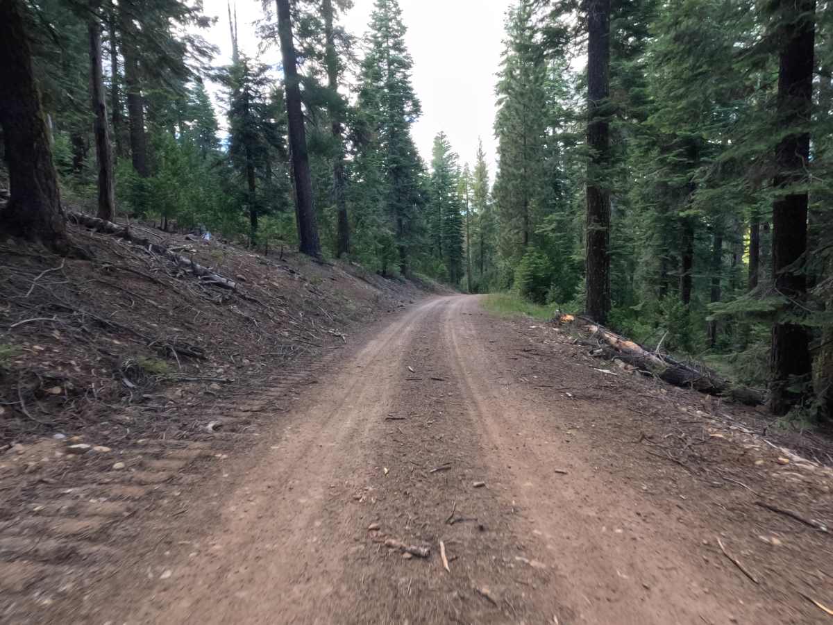 Sloan Cabin Spur - FS 12N99A photo 6