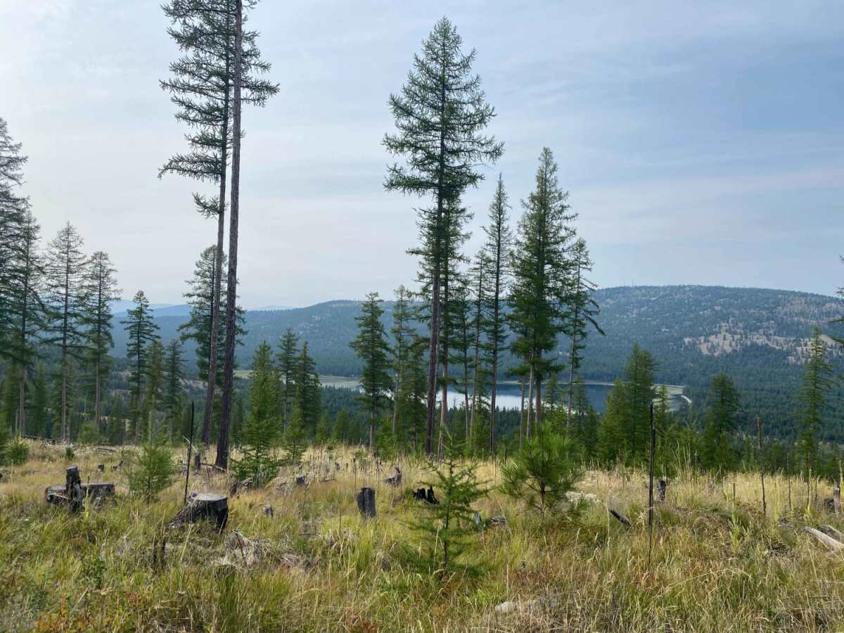 Haskill Divide photo 5