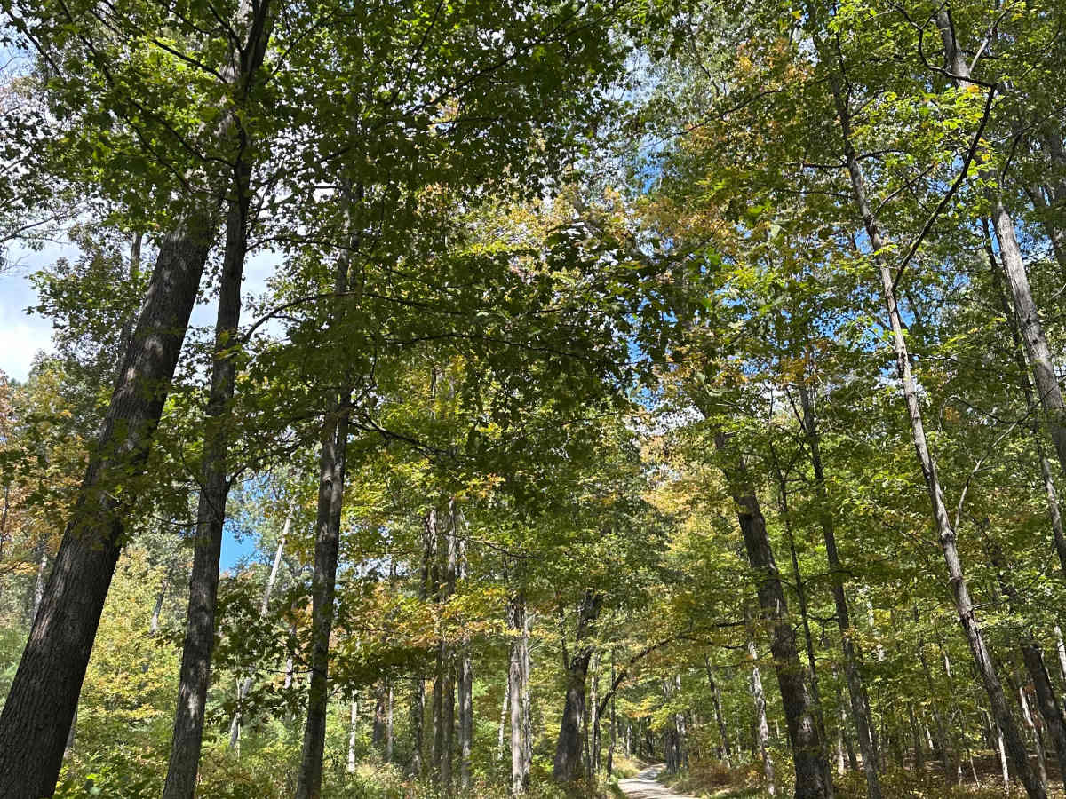 Perrin Road  photo 2