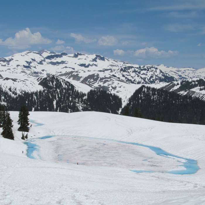 Near Mamquam Lake and the Gargoyles
