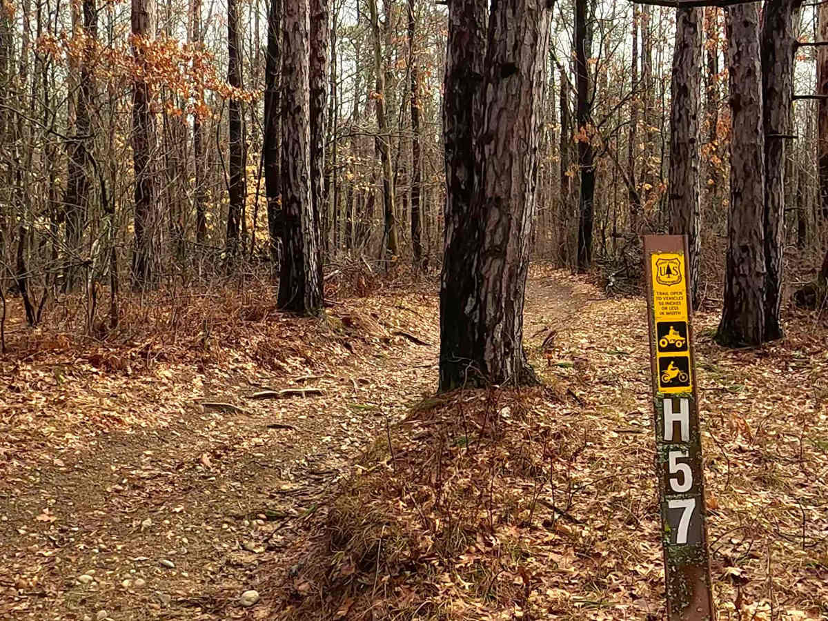 ORV H-57 : Mack Lake Loop Trail South photo 6