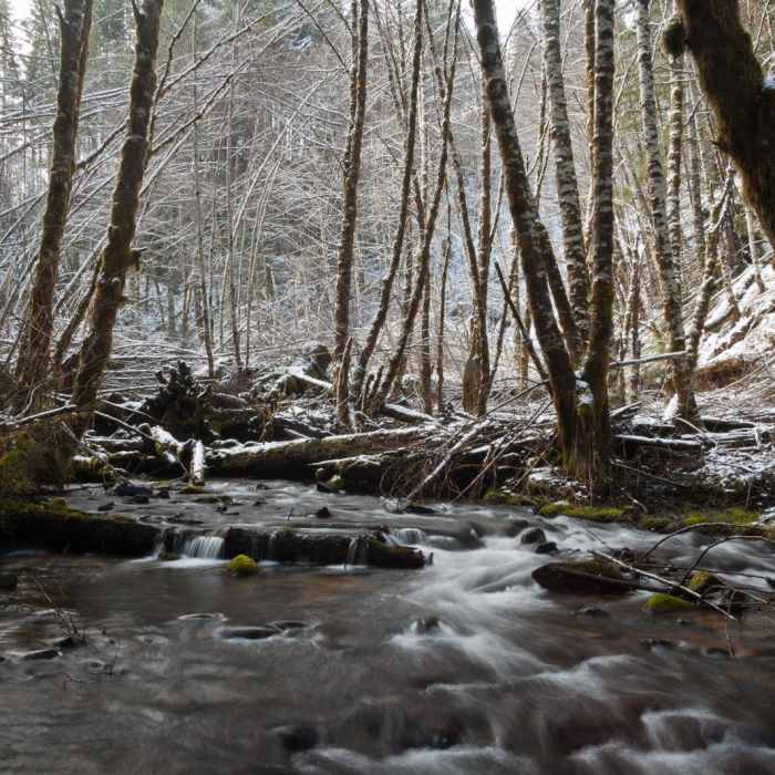 Near University Falls