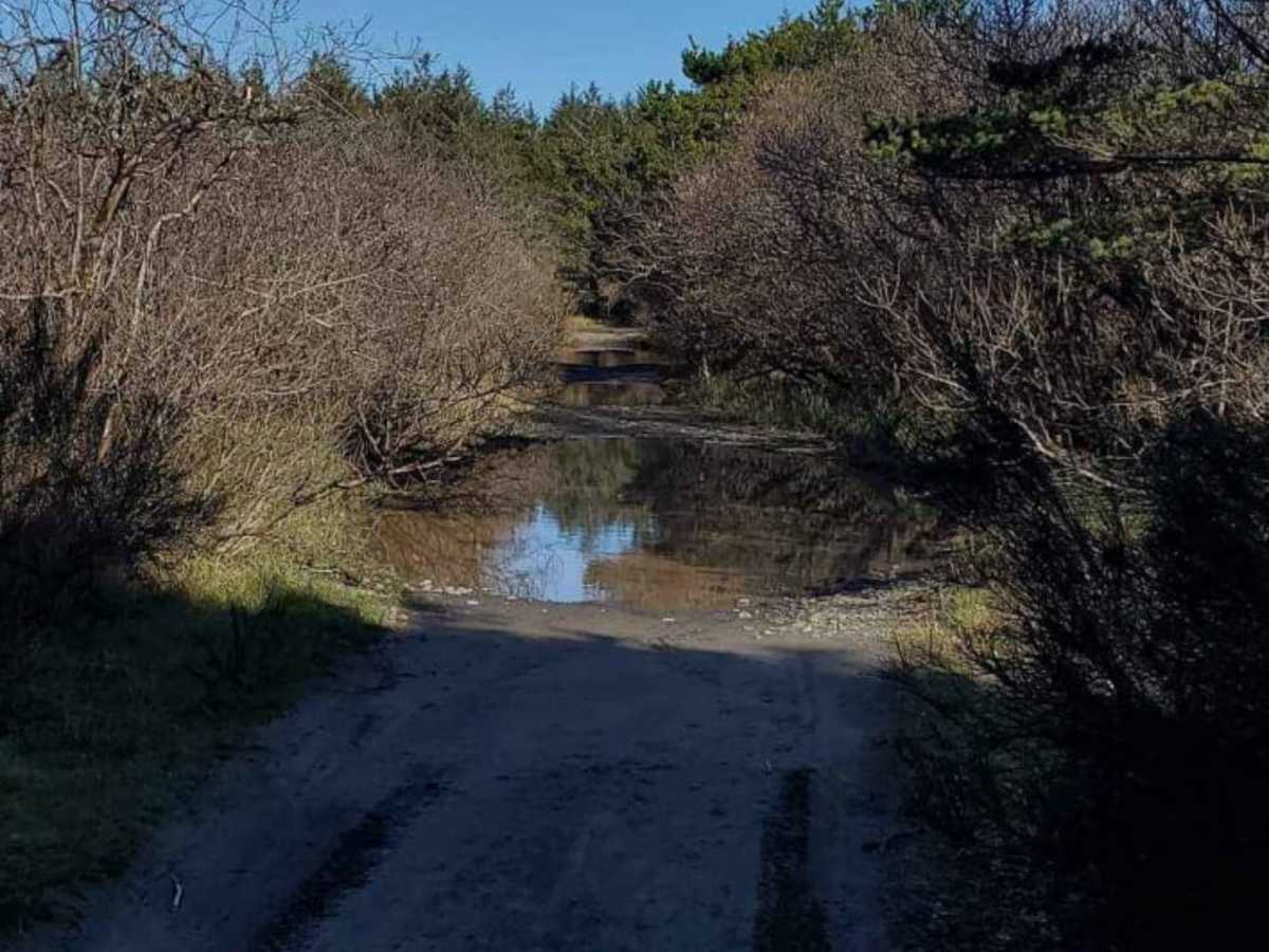 Delaura Dune Trail photo 3