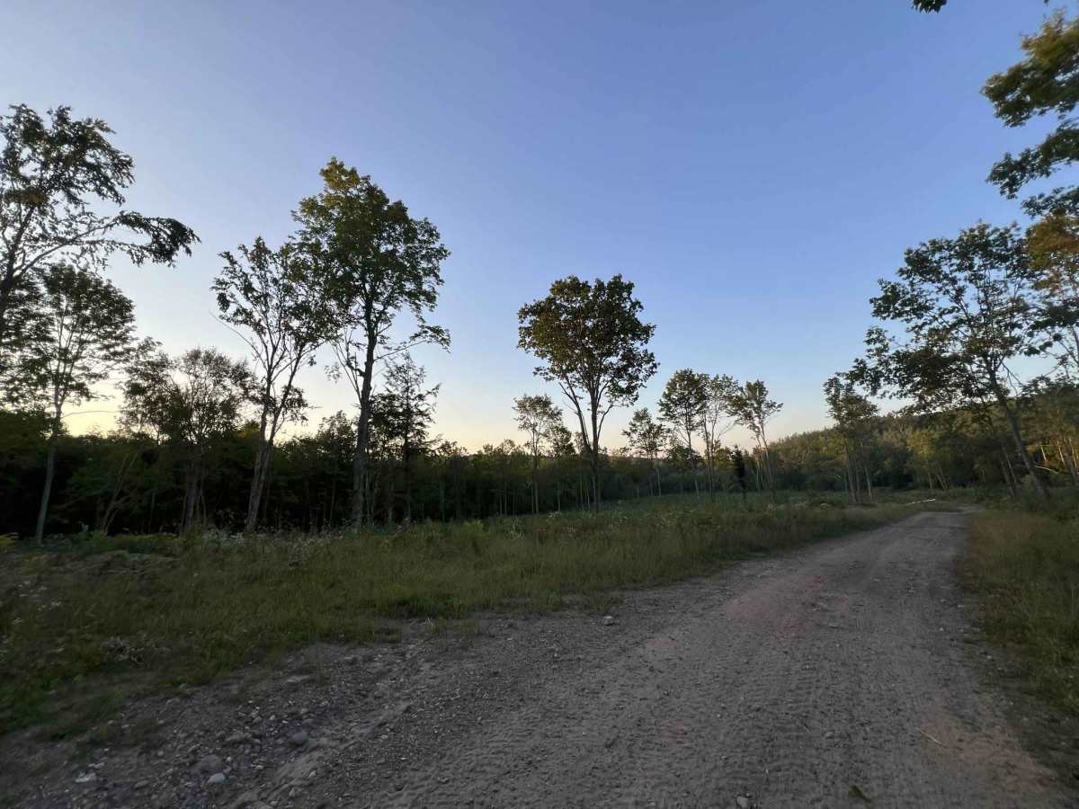 Forest County ATV/SXS 8 Mile Loop Trail 2 photo 3