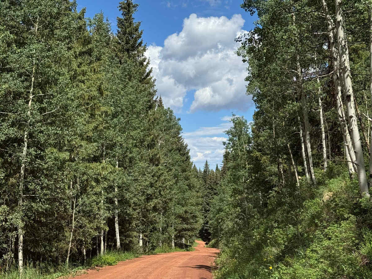 Nolan Creek Road - FS 418 photo 2
