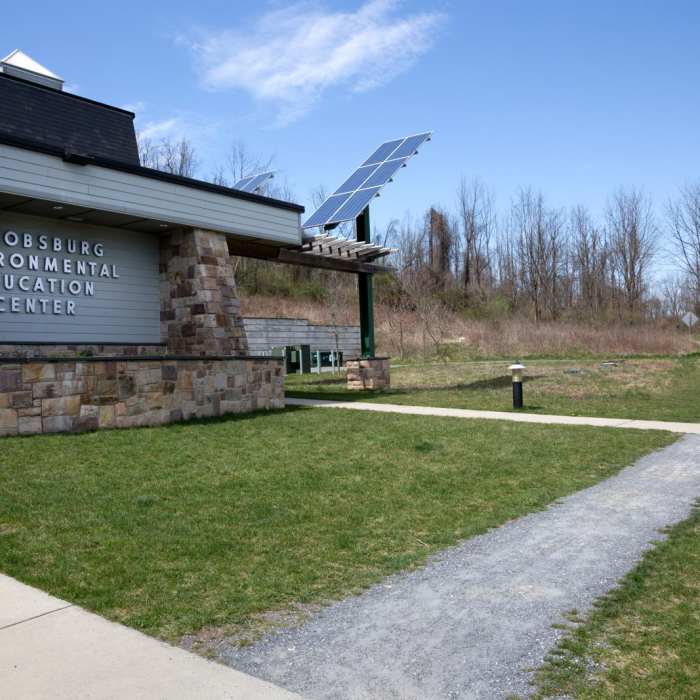 Near Homestead Trail