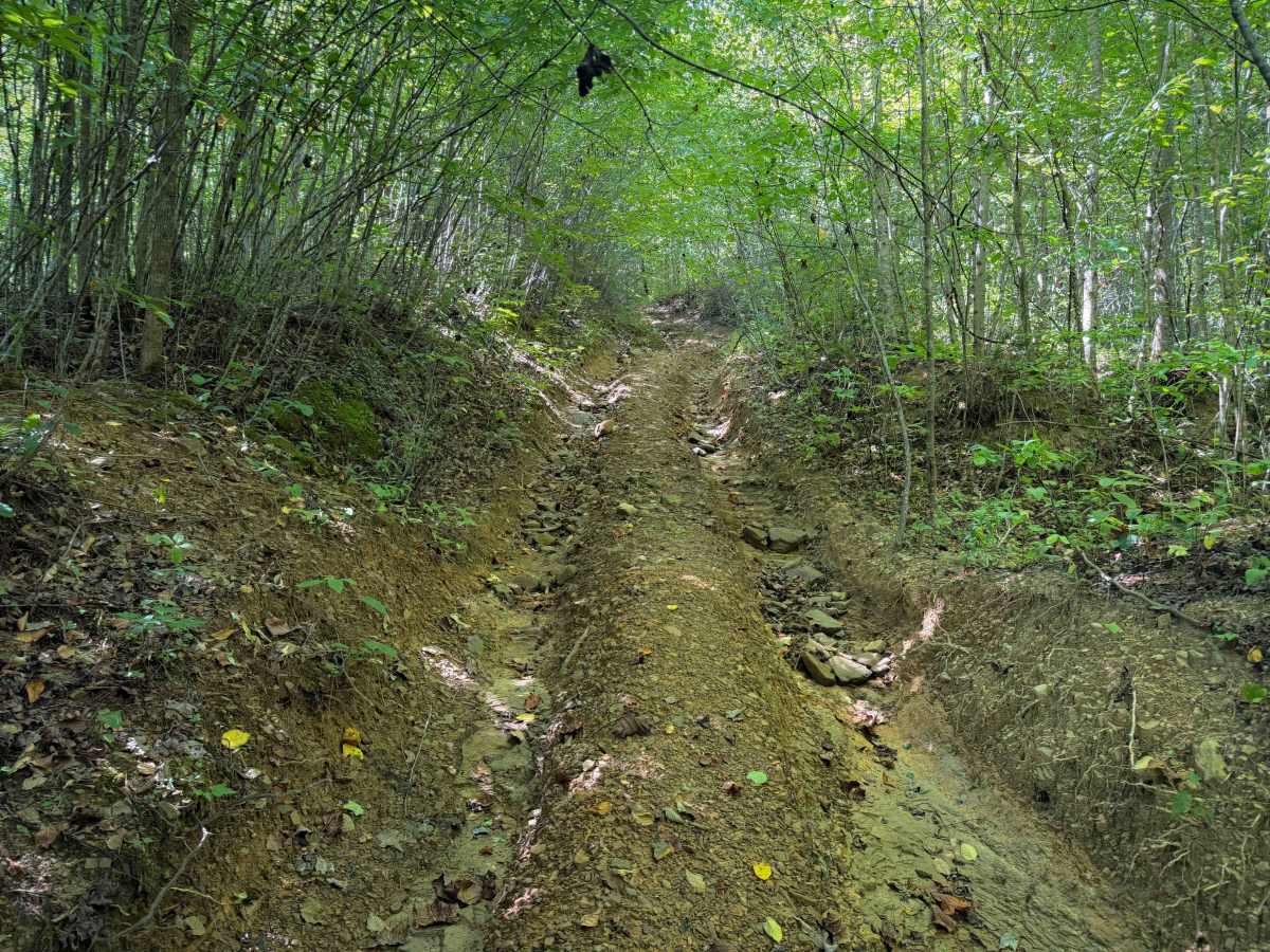 R69 trail photo