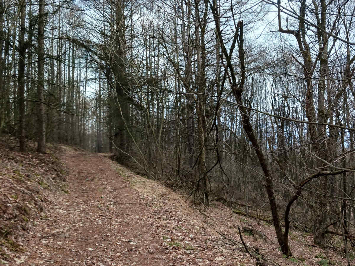 Trail 15C - Rock Run Recreation Area photo 4