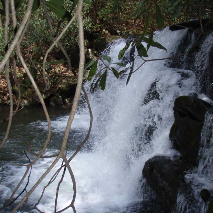 Upper Bald River Falls along the Brookshire Creek Trail Near Upper Bald River Wilderness Loop